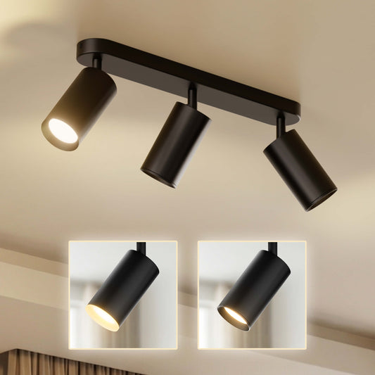 Deckenstrahler Schwenkbar Schwarz I CB-Serie